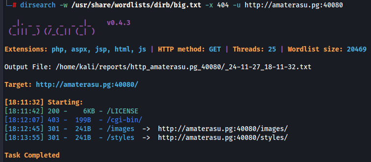 Execução do dirsearch na 40080