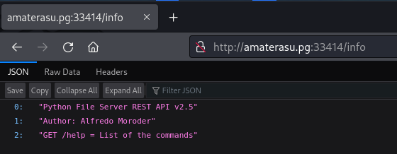 Acesso ao endpoint /info