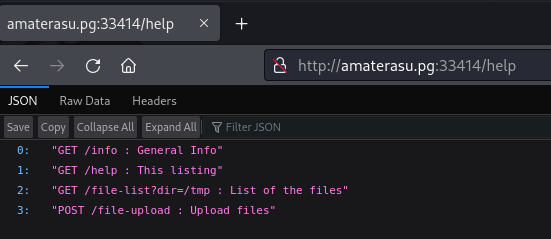 Acesso ao endpoint /help