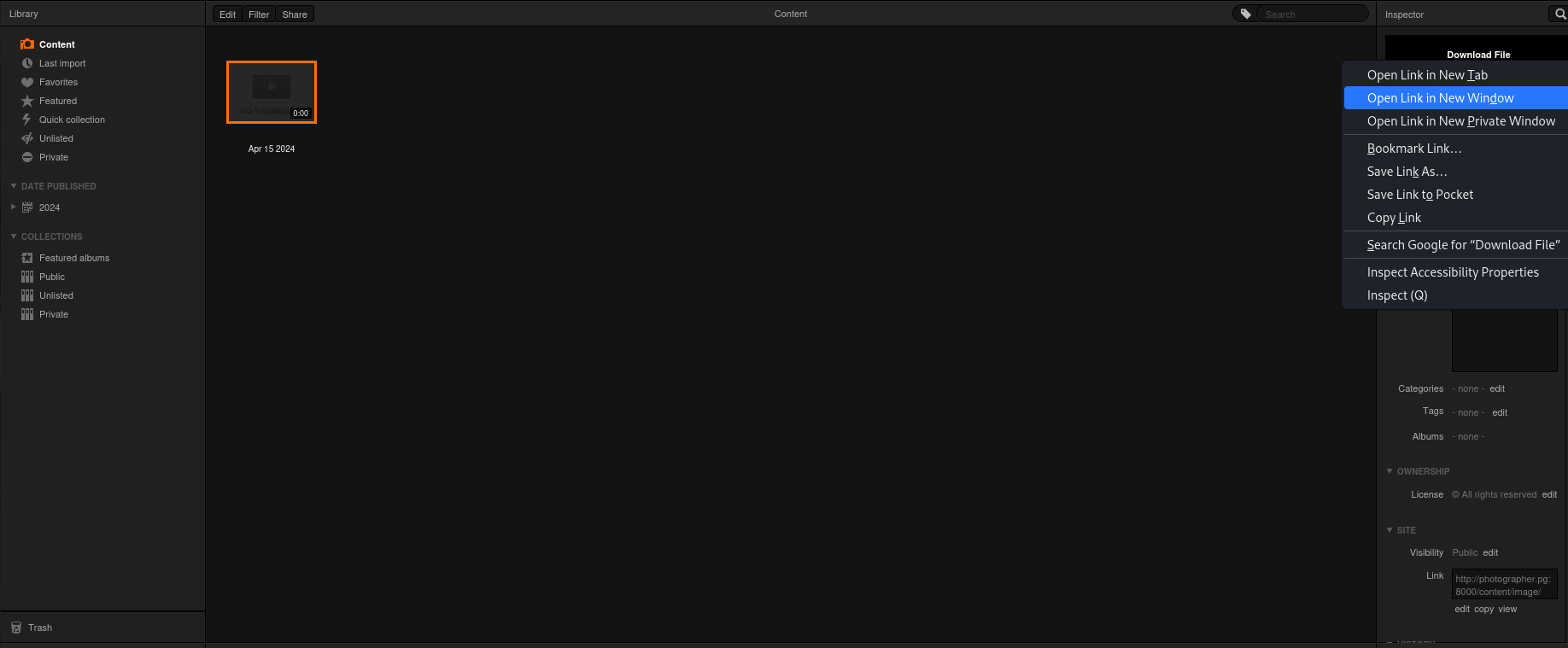 Detalhamento de como pegar o link do arquivo