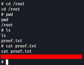 Visualização da flag de root