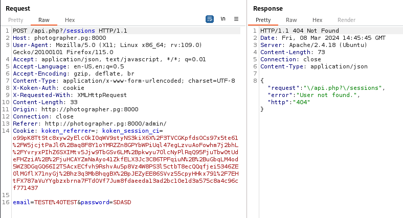 Visualização da requisição via Burp Suite