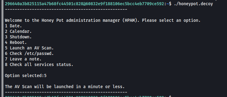 Execução do binário honeypot.decoy