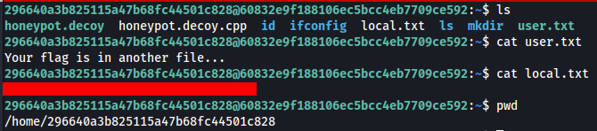 Visualização da flag de usuário