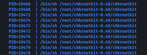 Visualização do processo de chkrootkit